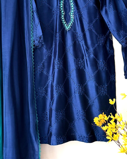 Daastan - Embroidered  sheesha silk