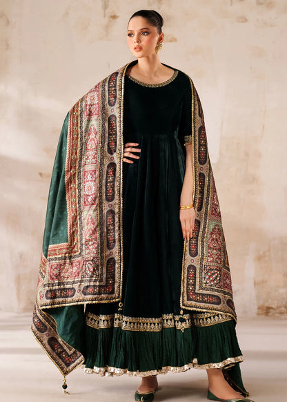 Velvet embroidered dress - Baroque