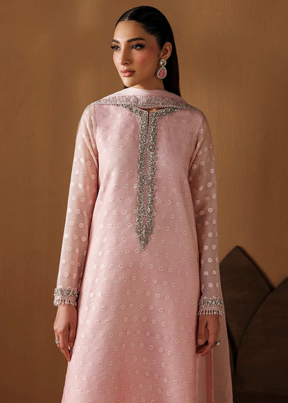Cotton net  embroidered dress - Baroque