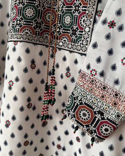 Raw silk embroidered- Jazmin