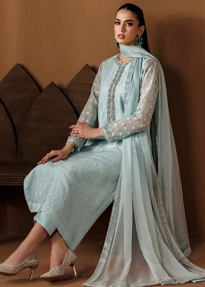 Cotton net  embroidered dress - Baroque