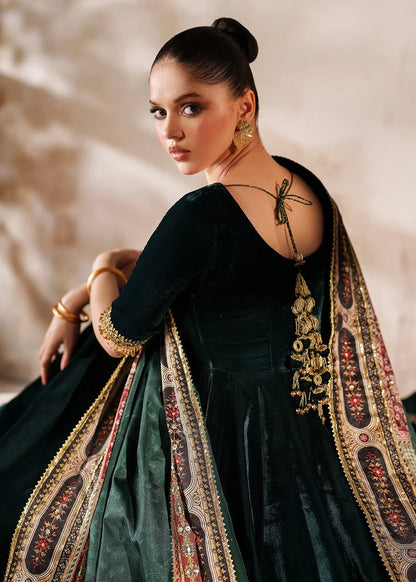 Velvet embroidered dress - Baroque