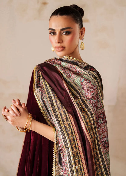 Velvet embroidered dress - Baroque