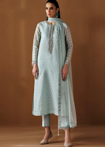 Cotton net  embroidered dress - Baroque
